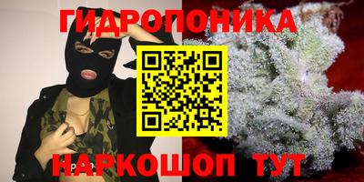стаф Моздок