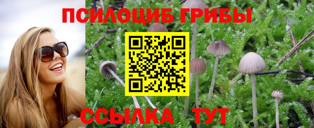 Галлюциногенные грибы ЛСД Горячий Ключ