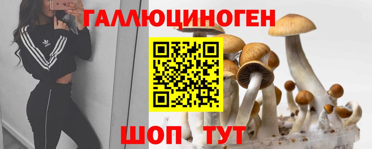 как найти закладки  Вход с VPN  Горячий Ключ  Псилоцибиновые грибы Psilocybe 